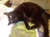 IMG_20250816_233731.thumb.jpg.f479fc0d7d81973b8365207027539785.jpg