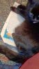 IMG_20250820_213108.thumb.jpg.c80f644a5efdf90e91d3617bba25a193.jpg