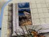 IMG_5170.jpeg