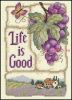 Dimensions 16752, Жизнь прекрасна (Life is Good)
