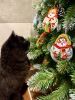 IMG_9114.thumb.jpeg.20227c3de9d7adc762657ab9c36efe49.jpeg