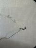 IMG_9322.jpeg