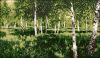 MK-113_Berezovaya_roscha_1889.thumb.jpg.349ef8f8e6a65b06b3fc4f94c4522710.jpg