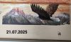 SF-20250721-24123.thumb.jpg.d6c644f000b8548c4dd0f80a575a9081.jpg