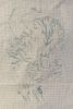 angora108.thumb.jpg.9429a05bc8cc0406abd11b4f0acbff10.jpg