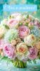 htB3uDSgn7KHjy70LTpr7HtqRFzA8W-P497BKERmT1kk5BDO9Ae1oEgU18nq1DTvAQgeLQ2VOoK4r90lvr3wEQ1t.thumb.jpg.b503ad08b8bf21351c3da18f7eadeb17.jpg