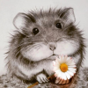 1220692728_.thumb.png.34de98f78727a7cc25b65a9b0d0f6949.png
