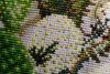 1248172813_22.thumb.JPG.0098d06faa167e72c0a269f5ed3560f1.JPG