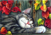 1493199023_2025-09-08171534.thumb.png.cb161fd1ce89346b9fb878de1ca5a08f.png