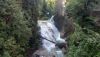 20250818_100215.thumb.jpg.5690db492182a5d78fe71d4e578429a3.jpg