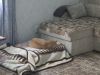 20250825_063957.thumb.jpg.a1fbe1d85ccee3436104f1e8d873de6f.jpg