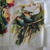 20250906_112035.thumb.jpg.d2fdf110d00f5b9dfead6a5c291a80d1.jpg?1757142090821