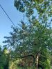 20250906_174216.thumb.jpg.44ba0e73cc1cf0904485103ac0b5e479.jpg
