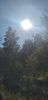 20250909_162929.thumb.jpg.21397636b4ce8c89c6f553b0b1b487ba.jpg