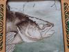 20250925_121302.thumb.jpg.49843a087c2f617f0f26a253690108ff.jpg