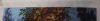 20250926_175430.thumb.jpg.1a0508555cd9375da04b834d81f58cbd.jpg