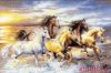 23115.thumb.jpg.f1a30ad85a395a3384bc7bf180f5b56e.jpg