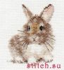 36716.thumb.jpg.dce9f22cc51cb115049febbfe9ed487c.jpg