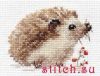 36717.thumb.jpg.1b1c8c147378946cbc500de7764488ec.jpg