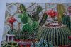 783966694_551.thumb.JPG.ec0e64f1370f7bdceb4aece5b845827a.JPG
