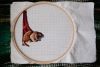 DSCF0185.thumb.JPG.85d9ed5f4a7005b7403b8edac64a0b22.JPG