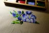 DSCF0843.thumb.JPG.2aaf3062becec8ebcb194555d768c9d4.JPG