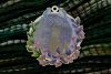 DSCF9863.thumb.JPG.a860c11f617d74adf4638fea874eeb95.JPG
