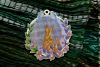 DSCF9870.thumb.JPG.94c5964fe462d0ddb7e2ae9abc17f540.JPG