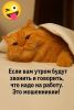 FB_IMG_1756974520763.thumb.jpg.af0362f7604838476740f5c528d4d00b.jpg