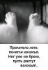 FB_IMG_1757157909247.thumb.jpg.86d3ded13bab7773b68c277cd0c3efca.jpg