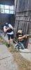 IMG-20250806-WA0099.thumb.jpg.e68cd479ec281c0f2708ade5ae8a1aa6.jpg