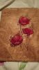 IMG-20250913-WA0037.thumb.jpeg.ce15c303f49655bbe2b18fa44b97e1ac.jpeg