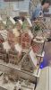 IMG-20250927-WA0005.thumb.jpeg.8909698fbf324ac3c368972b873aeafd.jpeg