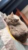 IMG_0634.jpeg