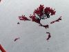 IMG_20250311_001616.thumb.jpg.b366936c6cea461258c20c58ba439c1e.jpg