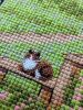 IMG_20250731_155519.thumb.jpg.208f97961378da5341fcadf337ee2195.jpg