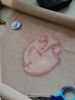 IMG_20250801_104127.thumb.jpg.a2c95266142ecb32d813a003556c8565.jpg