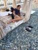 IMG_20250824_182631.thumb.jpg.5bcbf42390eb324de79582ff4053b09d.jpg