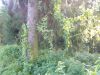 IMG_20250829_165915.thumb.jpg.763b6366c2472938c0d83ed6bd2f991d.jpg