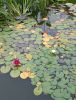 IMG_20250902_184551.thumb.jpg.dba6eec0135fc38c389def93cc2552d8.jpg