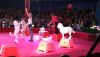 IMG_20250907_132728.thumb.jpg.34b6047c0c312f510a7a1a1b83cad4b3.jpg