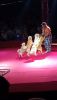 IMG_20250907_134853.thumb.jpg.8ea737cbb96f000f597e284fc1cc7738.jpg