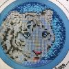 IMG_20250908_210541.thumb.jpg.f1b638c49667af3649c46821c1b713d7.jpg