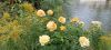 IMG_20250910_131131.thumb.jpg.96184367cb8ecb55b3d0793163222688.jpg
