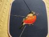 IMG_20250928_212723.thumb.jpg.eea97784d65c7e314e903380ab745ca5.jpg