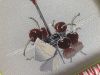 IMG_4820.thumb.jpeg.3d2a24b172340746d738b5bbc6f08ff6.jpeg