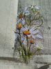IMG_5960.thumb.jpeg.0442e9b3741786e16a06771634554f94.jpeg