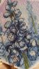 IMG_6024.jpeg