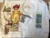 IMG_6170.jpeg