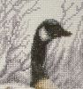 IMG_6497.thumb.jpeg.465cd650100cd5f09b982a060ab62dd1.jpeg